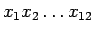 $x_1x_2\dots x_{12}$